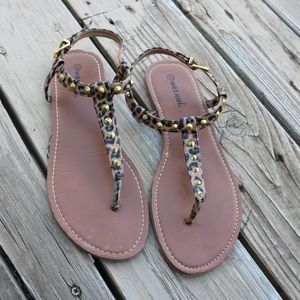Cheetah Print Sandals 😻